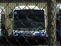 Brampton Transit 1818 - 2018 Nova Bus LFS