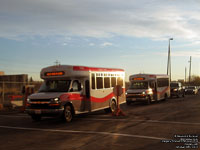 Calgary Transit 1781 and 1718 - 2011 GM/Arboc 4500/Spirit LP