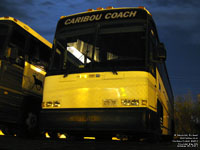 Caribou Coach 49012