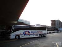 Coach Canada - Trentway-Wagar 53463 - 2005 MCI J4500