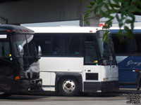 PMCL (Gray Line Toronto) 7701 - Ex-PMCL 701, nee PMCL 201 (1996 MCI 102DL3)