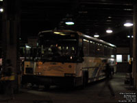 Gray Line 1031 (1998 MCI 102DL3)
