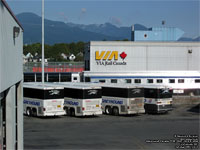 Greyhound Canada 1193 (2001 MCI D4500), 1241, 1223 and 1009