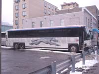 Greyhound Lines 6203 (1999 MCI 102DL3 - 55 passengers - 48-state service pool 255)
