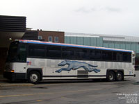 Greyhound Lines 6203 (1999 MCI 102DL3 - 55 passengers - 48-state service pool 255)