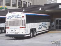 Greyhound Lines 6338 (1999 MCI 102DL3 - 55 passengers - 48-state service pool 255)