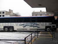 Greyhound Lines 6375 (1999 MCI 102DL3 - 55 passengers - 48-state service pool 255)
