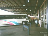 Greyhound Lines 6385 (1999 MCI 102DL3 - 55 passengers - 48-state service pool 255)