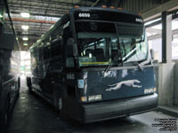 Greyhound Lines 6659 (2000 MCI 102DL3 - 48-state service ADA pool 251 - Ex-Coach America)