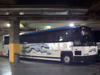 Greyhound Lines 6709 (200? MCI 102DL3 - 48-state service ADA pool 251 - Ex-Hotard Coaches)