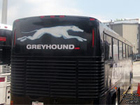 Greyhound Canada - Ex-Funkmaster Flex?