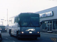 Voyageur Colonial 2463 - Greyhound scheme (1992 MCI 102C3)