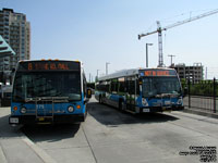 Guelph Transit 175 and 242 - 2003-14 NovaBus LFS