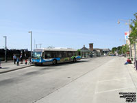 Guelph Transit 201 - 2008 NovaBus LFS