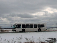 Halifax Transit - 2016-17 Nova Bus LFS