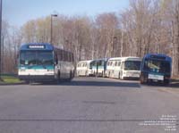 Retired buses