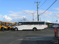 Autobus Auger 11396 - Transport Collectif de la MRC de Jacques-Cartier