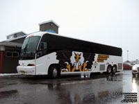 Transoverland - Cape Breton Screaming Eagles