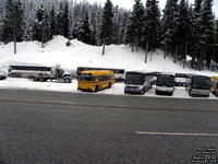 Stevens Pass Bus Lot