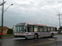 Codiac Transit 503 - 2007 NovaBus LFS 40102