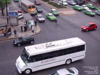 A Lozano bus