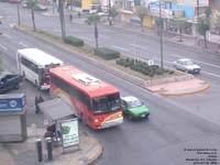 Monterrey transit bus