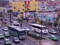 A Noreste coach and a Monterrey transit bus