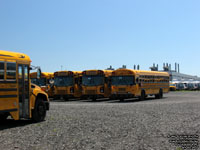 Brand new Blue Bird school buses