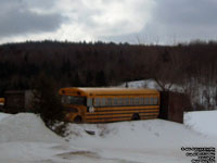Old Blue Bird School Bus