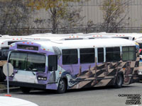 The second Macadam project bus - ex-CMTS / STS 35117