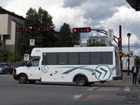 STS 63302 (2013 GMC - Girardin Para-Transit Bus)