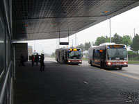 Toronto Transit Commission - TTC 8311 - 2011 Orion VII (07.501) EPA10