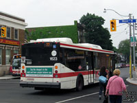 Toronto Transit Commission - TTC 1623 - 2008 Orion VII NG Hybrid