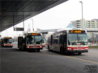 Toronto Transit Commission - TTC 1688 - 2008 Orion VII NG Hybrid, 1219 & 1396