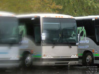 Transbus 329