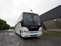 Transbus 338