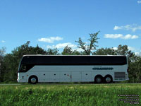 Transbus 349