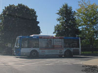 Transbus 384