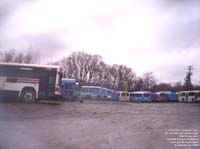 Capital Bus Parts, Levis,QC (ex-Big Blue Bus, Santa Monica,CA)