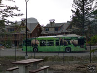 Banff,AB and Canmore,AB Roam 1001 - 2008 Nova Bus LFS