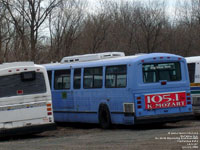 Capital Bus Parts, Levis,QC (ex-Big Blue Bus 4956, Santa Monica,CA)