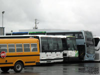 Veolia Transport 8021-??-2 - 2012 ADL Enviro500 Demo