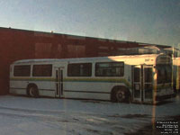 Transit Windsor 567 - 1986 GMDD Classic (Ex-DRT 8118)