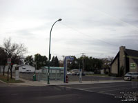 Winnipeg Transit Bus Stop