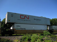 Canadian National - CNRU 290740 & CNRU 530272