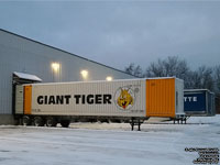 Giant Tiger - GTBU 531932