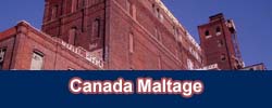 Canada Malt Plant, Montreal,QC