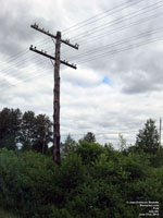 Weathered utility pole, Joly,QC