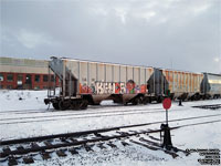 CAI Rail - CAIX 3015