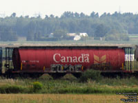 Canadian National Railways - CN 110035 (ex-CNWX 110035) - C113